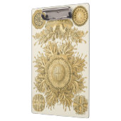 Goldene Seegeschöpfe Klemmbrett (Links)