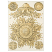 Goldene Seegeschöpfe Klemmbrett (Rückseite)