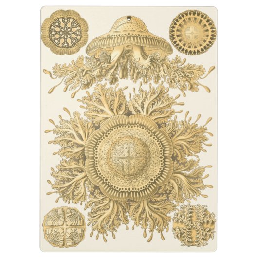 Goldene Seegeschöpfe Klemmbrett (Rückseite)