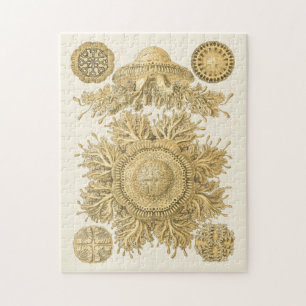 Goldene Seegeschöpfe Puzzle