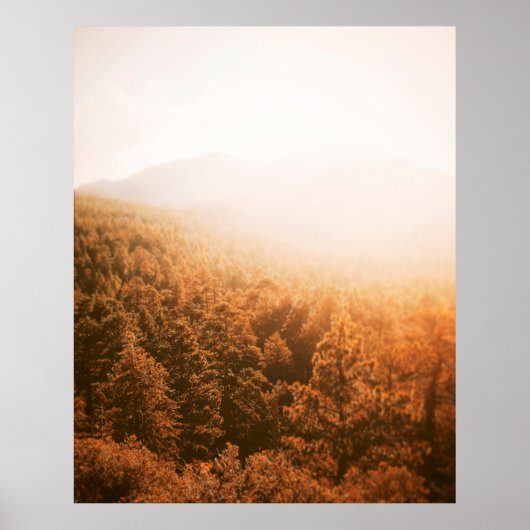GOLDENE SONNE ÜBER EINEM WALD POSTER (Vorne)