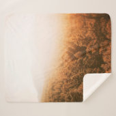 GOLDENE SONNE ÜBER EINEM WALD SHERPADECKE (Vorderseite (Horizontal))