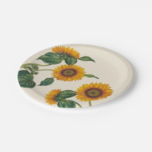 Goldene Sonnenblume-botanischer Pappteller 7" (Schrägansicht)