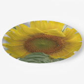 Goldene Sonnenblume Pappteller (Schrägansicht)