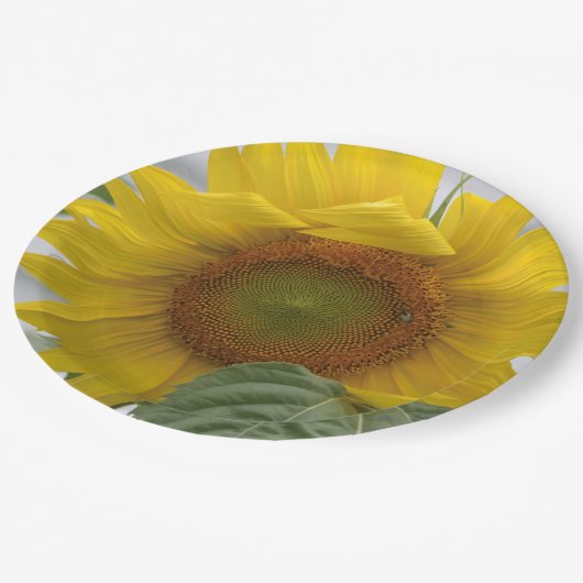 Goldene Sonnenblume Pappteller (Schrägansicht)