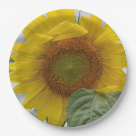 Goldene Sonnenblume Pappteller