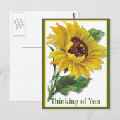 Goldene Sonnenblume Postkarte (Vorne/Hinten)