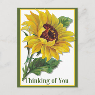 Goldene Sonnenblume Postkarte