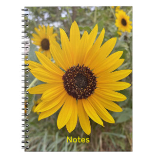 Goldene Sonnenblumen-Blumen-Notizbuch Notizblock