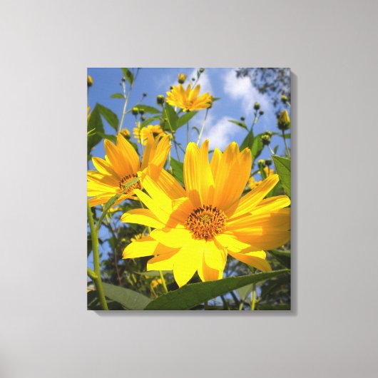 Goldene Sonnenblumen ummantelte Canvas Leinwanddruck (Vorderseite)