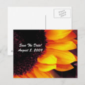 Goldene Sonnenblumenhochzeit rettet das Datum Ankündigungspostkarte (Vorne/Hinten)