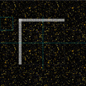 Goldene Sterne Stoff (Kachel)