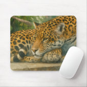 Goldene Stille - ruhender Leopard in Foliage Mousepad (Mit Mouse)