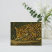 Goldene Stille - ruhender Leopard in Foliage Postkarte (Stehend Vorderseite)