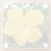 "Goldene Strahlung: Gelbe Hibiskus Blume auf einem Glasuntersetzer (Rückseite)