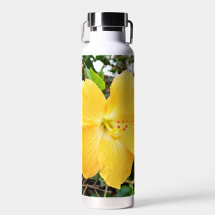 "Goldene Strahlung: Gelbe Hibiskus Blume auf einem Trinkflasche