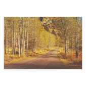 Goldene Straße Poster (Vorderseite)