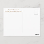 Goldene Stunde bei Currituck Sound Postkarte (Rückseite)