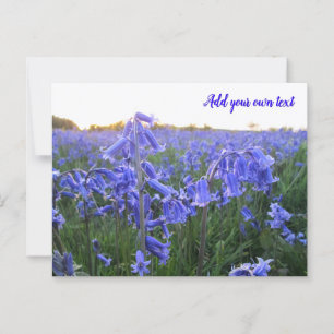 Goldene Stunde Bluebells - Personalisiert Postkarte
