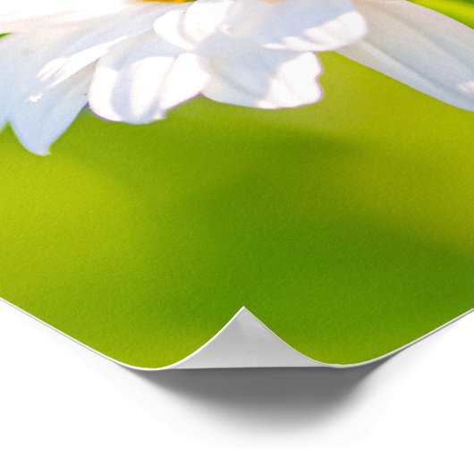 Goldene Stunde Pause Poster (Ecke)