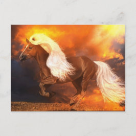 Goldene Stunde Postkarte