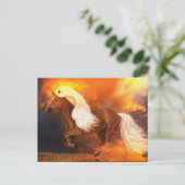 Goldene Stunde Postkarte (Stehend Vorderseite)