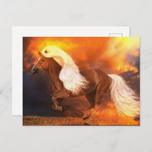 Goldene Stunde Postkarte (Vorne/Hinten)