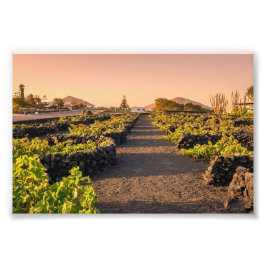 Goldene Stunde über den La Geria-Weinbergen Lanzar Fotodruck