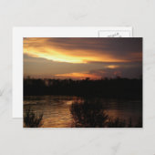 Goldene Sunset Postkarte (Vorne/Hinten)