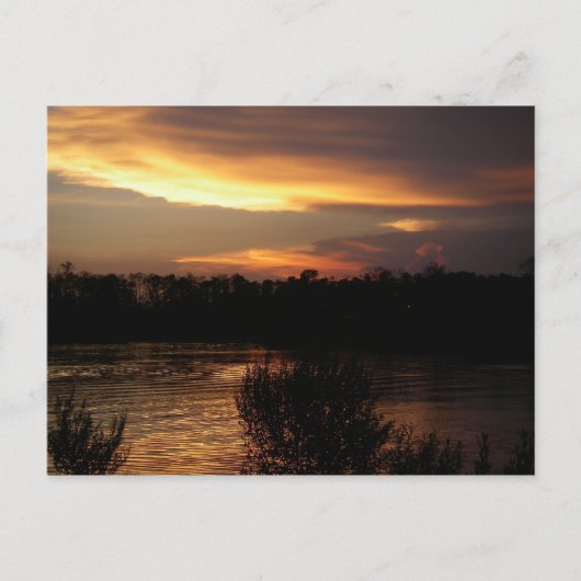 Goldene Sunset Postkarte (Vorderseite)