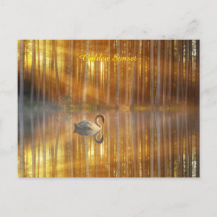 Goldene Sunset Postkarte