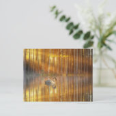 Goldene Sunset Postkarte (Stehend Vorderseite)