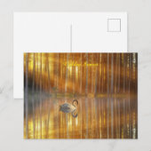 Goldene Sunset Postkarte (Vorne/Hinten)