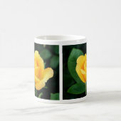 Goldene Tasse der Rosen-23 (Mittel)