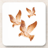 Goldene Tauben Getränkeuntersetzer (Vorderseite)