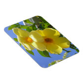 Goldene Trompetenblumen I Magnet (Rechte Seite)