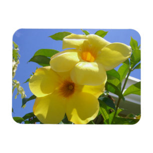 Goldene Trompetenblumen I Magnet