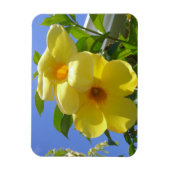 Goldene Trompetenblumen I Magnet (Vertikal)