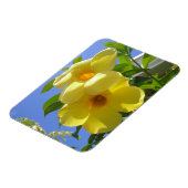 Goldene Trompetenblumen I Magnet (Linke Seite)