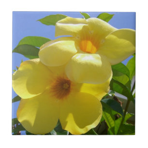 Goldene Trumpet-Blume I Fliese