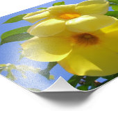 Goldene Trumpet-Blume I Fotodruck (Ecke)