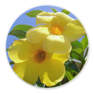 Goldene Trumpet-Blume I Keramikknauf
