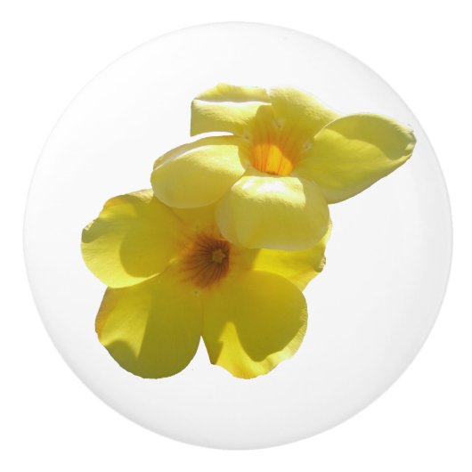 Goldene Trumpet-Blume I Keramikknauf (Vorderseite)