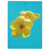 Goldene Trumpet-Blume I Klemmbrett (Rückseite)