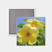 Goldene Trumpet-Blume I Magnet (Vorderseite/Rückseite)