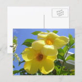 Goldene Trumpet-Blume I Postkarte (Vorne/Hinten)