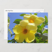 Goldene Trumpet-Blume I Postkarte (Vorne/Hinten)