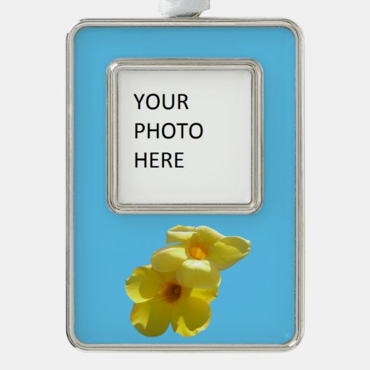 Goldene Trumpet-Blume I Rahmen-Ornament Silber (Vorderseite)