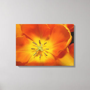 Goldene TulpenBlume Leinwanddruck