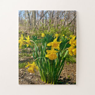 Goldene Umarmung Narzissenblüte im Frühling Puzzle